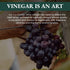 100% 16.9 oz Ponti Italian Red Wine Vinegar for Cooking - Organic Red Wine Vinegar with Balanced Acidity & Harmonious