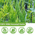 Premium 100 Horsetail Tea Bags, 100% Wild Natural Horse Tail Herb, For Hair & Nail, No Additives, Caffeine Free, Cola