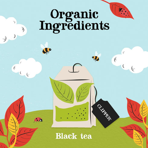 Clipper Tea Organic Fairtrade English Breakfast, Big Ben - USDA Organic, Non-GMO, Fair Trade, Sustainable Caffeinated