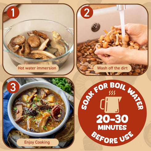5 5oz(140g) kinds Dried Mixed Wild Mushrooms for Cooking, Dehydrated Mushrooms Including Porcini Shiitake Oyster