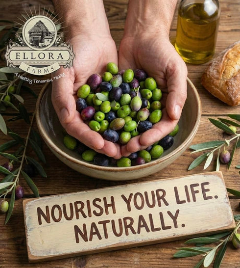 8.5 oz., Pack 2 Ellora Farms, Extra Virgin Olive Oil, Organic and Single Estate PDO Combo, Greek Single Origin, Kosher