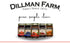 14oz (Pack 6) Dillman Farm All Natural Apple Butter - Gluten-Free, Non-GMO, Vegan, Kosher, Eco-Friendly, Preservative