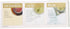 Davidson's Organics Tulsi Mango Peach, 100-count Unwrapped Tea Bags