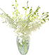 20 Elegant Stems of Fresh White Dendrobium Orchids - Perfect for Any Occasion