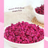 5.3oz(150g) TXDYNLLK Freeze-Dried Diced Dragon Fruit Single Ingredient, No Added Sugar, Dragon Fruit Cubes for Drinks