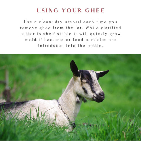 30 59 10 oz Mt. Capra Goat Milk Ghee | Grass-Fed Clarified Butter High in MCT Oil Perfect for Bulletproof Coffee, Keto
