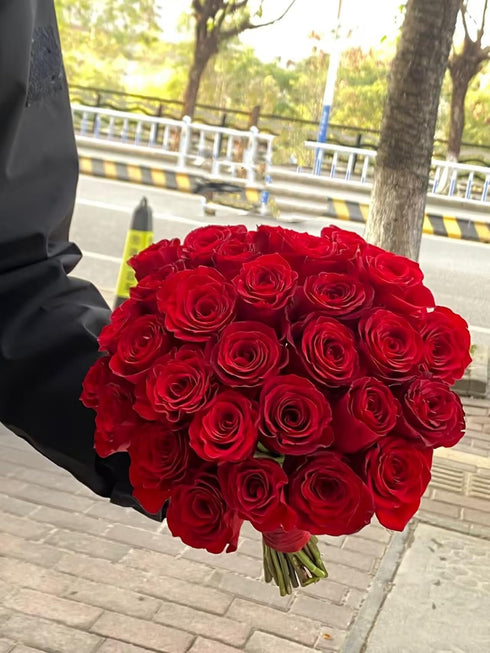 Cassiolina (24) Fresh Cut Freedom Red Roses Bouquet, Premium Long Stem Red Roses, Fresh Cut Roses for Valentines Day