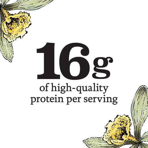 4 Pack, 21.2 OZ Siggi's Vanilla Non Fat Yogurt