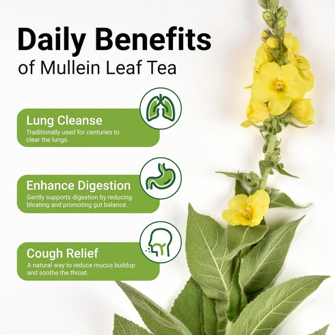 CCnature 20 100% Premium Mullein Tea Bags For Lungs - Pure Mullein Leaf | For Lung Health & Respiratory Wellness