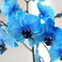5" Green Circle Growers Blue Watercolor Orchid Phalaenopsis in a Seagrass Pot with a Bunny Pick, Live Indoor Plants