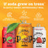 Pack, (12pk) Culture Pop Soda, Most Loved Variety Probiotic Low Sugar Soda, Sparkling Juice Alternative, Non-GMO