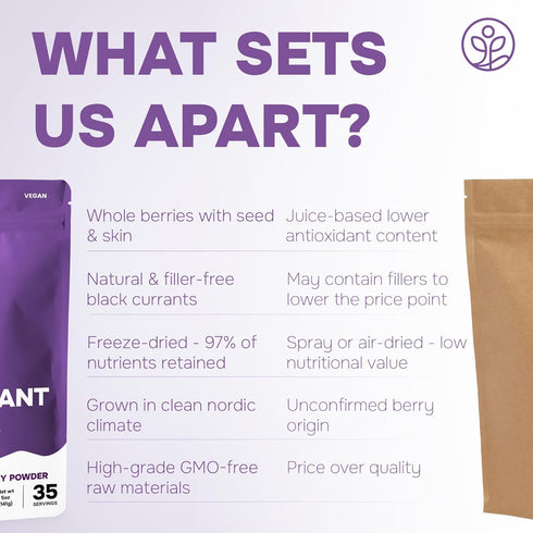 5 Jungle Powders Black Currant Powder Ounce Bag - Natural Freeze Dried Black Currants for Recovery - Dehydrated Fruit