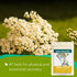 (4oz.)- Immune Yarrow Flower Tea Organic Dried Yarrow Herb Loose Leaf - Herbal Tea to Support Healthy Function