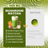 6 Immune 30 1 Pack Bunkell Mushroom Matcha, Adaptogenic Mushrooms Mix w/Japanese Matcha, Ceremonial Powder Blend