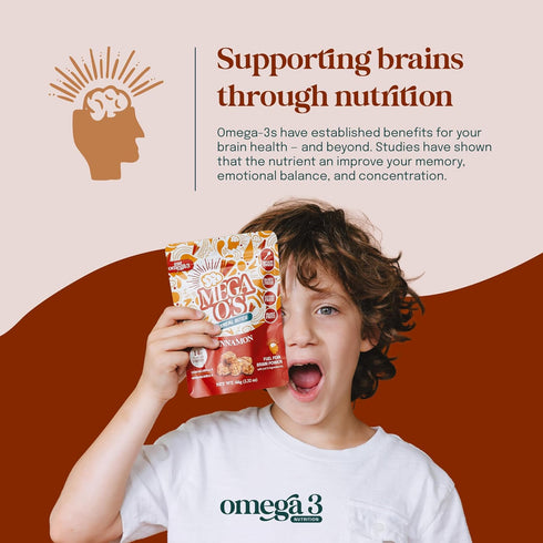 3 Omega-3 Omega-6, 66g Pack 6 Eat Omega Mega Os Cinnamon Granola Cereal Bites - Gluten-Free, Dairy-Free, Plant-Based