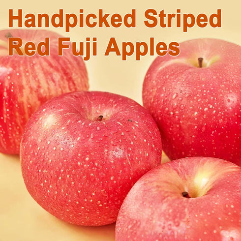 WANLAIREN 300g/10.58oz, Apple Slices-Dried Apples, Apple chips, Fuji Apples, No Added, Guilt-free, Clean Snack | Chewy