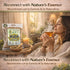 (4 oz) 100% Ruda Seca Herbal Tea Natural Rue Dried Herbs (Ruta graveolens) Traditional Botanical Infusion Wildcrafted