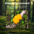 4oz) Dried Golden Jelly Fungus, Wild Mushrooms, Gift of nature, Delicious treasures from the mountains, Pure natural