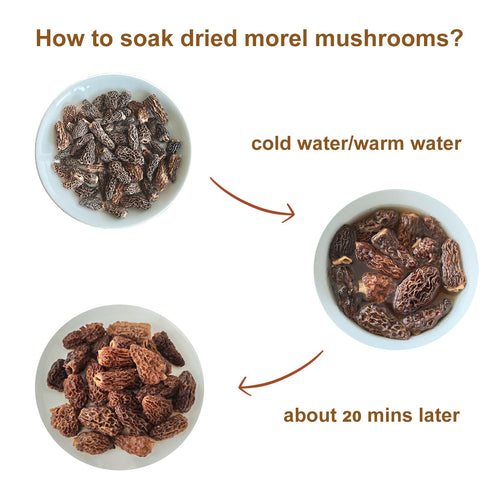2oz, (56.7g) VIGOROUS MOUNTAINS Premium Dried Wild Morel Mushrooms Wild Harvested, Earthy Flavor & Rich Umami-Perfect