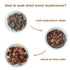 2oz, (56.7g) VIGOROUS MOUNTAINS Premium Dried Wild Morel Mushrooms Wild Harvested, Earthy Flavor & Rich Umami-Perfect