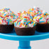 1.3 Jimmies) Sweets Indeed, Bulk Sprinkles, pounds, Sprinkle Mix, Perfect for Cake Decorations, Baking Ice Cream