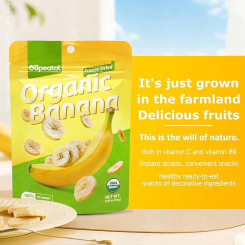 5 Pack (5) Banana Chips Crispy & Sweet Dried Banana Slices, No Sugar Added,Dried Banana Chips Healthy Snack for Adults