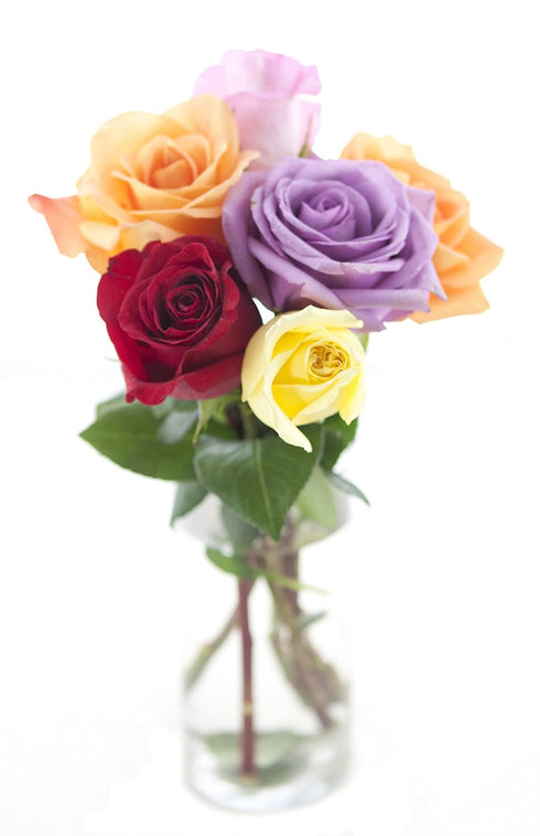 KaBloom PRIME NEXT DAY DELIVERY - Rainbow Roses (Half Dozen) - With
