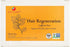 Health King Hair Regeneration Herb Tea, 20 Count Box, Teabags