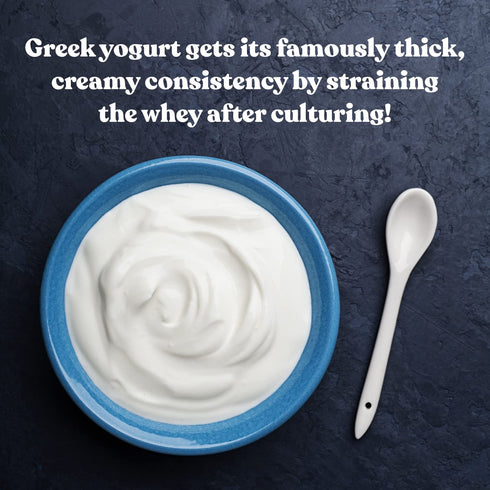2 Packets Cultures for Health Greek Yogurt Starter Culture | Dehydrated Heirloom Style DIY Probiotic Yogurt | Delicious