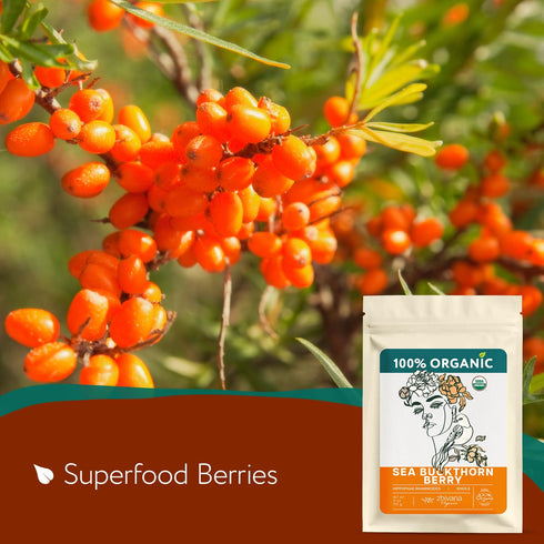 Immunity, 4 Organic Sea Buckthorn Berry Sea Buckthorn Tea, Dried Seaberry, Seabuckthorn Espino Amarillo Rich
