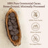 100% 1 lb ChakaCacao | Premium Ceremonial Cacao Pure, Minimally Processed, Rich in Theobromine, Flavonoids & Anandamide