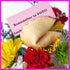 Pretty In Pink Fresh Cut Live Flowers Arranged in a Takeout Container with your Personal Message Tucked Inside a