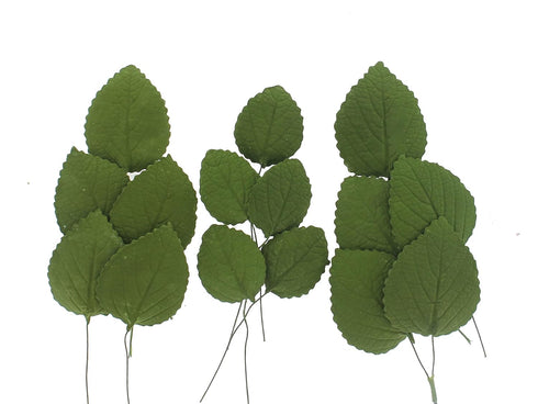 Global Sugar Art Hydrangea Leaves Sugar Cake Flowers Green Mix of Large