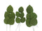 Global Sugar Art Hydrangea Leaves Sugar Cake Flowers Green Mix of Large
