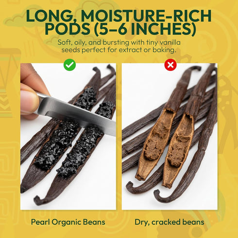 15 Count Golden Pod Vanilla Beans | Gourmet Grade A Whole Vanilla Pods | Fresh, Moist & Aromatic Beans for Homemade
