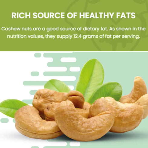 SANO 2lbs (32oz) Pack, Raw Cashew Pieces Organic Cashews Nuts, Fresh Unsalted cashew in Resealable No Salt Cashews