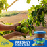 Cortas 31 oz Fig Jam