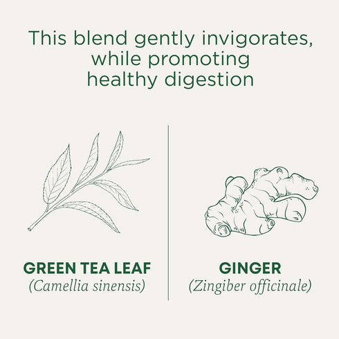 16 Traditional Medicinals Tea, Organic Green Tea Ginger - Promotes Healthy Digestion, Occasional Nausea & Indigestion