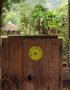 20ml Communities Pure Raw Melipona Honey Dropper | Stingless Bee Honey from Nahua & Totonac | Unfiltered, Natural