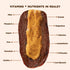 (10 Pack) Realsy Almond Butter Stuffed Medjool Dates, Organic Dates with No Sugar Added, Gluten-Free, Vegan, Good