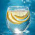 President Choice 1L/35.2 oz PC Blue Menu Unsweetened Lemon Flavored Sparkling Water, fl