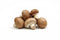 Bristol Farms , Mushrooms Medium, 0.25 lb