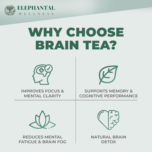 Elephantal Wellness 2oz 20 Premium Brain Herbal Tea | Nootropic Focus & Mental Clarity with Ginkgo, Bacopa, Gotu Kola