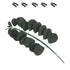 Global Sugar Art Green Eucalyptus Branch Sugar Cake Flowers, 5 Count by