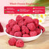 Fraunitsh 1.4oz (1.4oz/ 40g) Freeze-Dried Raspberries | Natural Raspberries | Crunchy Raspberry Fruit Snacks | No Sugar