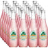 PLANETE DRINKS SPECIALISTE DES BOISSONS DU MONDE 12.5 oz Jarritos Soda Guava