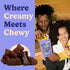 Gummy 2 Nuts.com Milk Chocolate Bears Pound Bag, Tasty Snack for Adults and Kids For Parties, Office Functions, Holiday