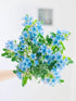 Cassiolina 10) Fresh Tweedia Blue Star Flowers Bouquet Light Blue Fresh Cut Flowers for Home Decor Wedding Floral