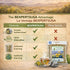 4 oz 100% Gobernadora Tea (Chaparral Leaf) with Stainless Steel Tea Infuser Natural Larrea tridentata Traditional