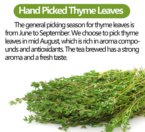 100 100% Premium Thyme Leaf Tea Bags, Made with Pure Thyme Leaves, Aid Digestion & Support Respiratory, No Additives